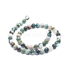 Natural Tree Agate Beads Strands&nbsp;G-F674-11-8mm