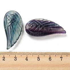天然石蛍石ペンダント  彫刻された翼のチャーム  36.5~37x17x8.5~9mm  穴：1.6mm&nbsp;G-M417-01