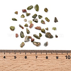 天然ユナカイトチップビーズ  穴なし/ドリルなし  2~8x2~4mm  約8500個/500g&nbsp;G-O103-14