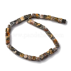 Natural Map Stone Beads Strands&nbsp;G-T139-8x8-45B