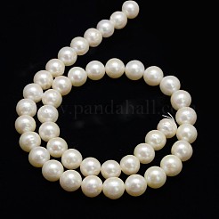 天然養殖淡水パールビーズ連売り  ラウンド  乳白色  10~11mm  穴：0.8mm  約37個/連  14.96インチ〜15.74インチ&nbsp;PEAR-L001-I-13
