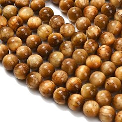 Natural Tiger Eye Beads Strands&nbsp;G-B133-A02-10mm-03