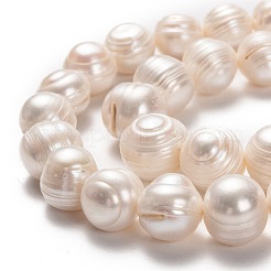 天然養殖淡水パールビーズ連売り  ポテト  ビスク  11.5~13x12~14mm  穴：0.6mm  約30個/連  14.17インチ（36cm）&nbsp;PEAR-L033-93