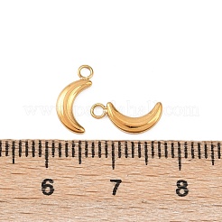 304 Stainless Steel Charms&nbsp;STAS-D390-23G