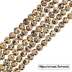 Natural Dalmatian Jasper Stone Bead Strands&nbsp;G-OC0001-54