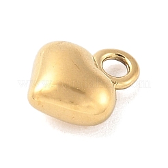 304 Stainless Steel Charms&nbsp;STAS-Q351-01G-B