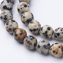 天然石ダルメシアンジャスパービーズ連売り  ラウンド  8mm  穴：1mm  約45~47個/連  38cm/連&nbsp;GSR004