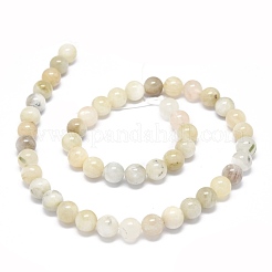 Natural Rainbow Moonstone Beads Strands&nbsp;G-O201A-17A