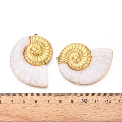Resin Pendants&nbsp;STAS-N111-10G
