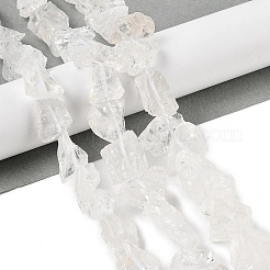 Natural Quartz Crystal Beads Strands&nbsp;G-Q023-A02-01