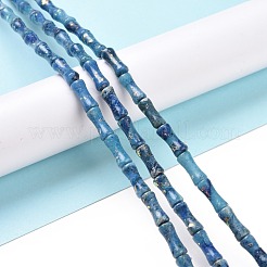 Natural Dolomite & Synthetic Opal Beads Strands&nbsp;G-P475-03B