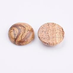 Natural Picture Jasper Cabochons&nbsp;G-K217-03A