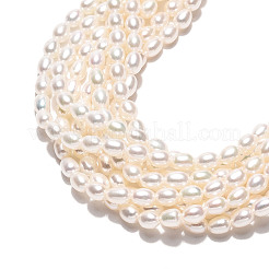 Natural Cultured Freshwater Pearl Beads Strands&nbsp;PEAR-N024-04-4AB