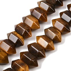 Natural Tiger Eye Double Terminated Point Beads Strands&nbsp;G-T142-91