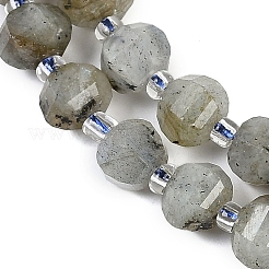 Natural Labradorite Beads Strands&nbsp;G-G182-B02-02