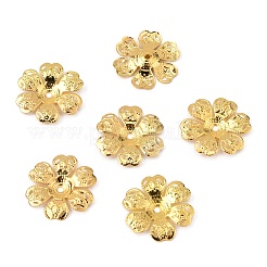 6-Petal Iron Bead Caps&nbsp;IFIN-WH0070-03G