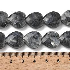天然ラルビカイトビーズ連売り  多面カット  ハート  14.5~15x15~15.5x5.5~6mm  穴：1mm  約10個/連  5.51~5.71''（14~14.5センチメートル）&nbsp;G-A309-A18-01