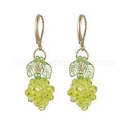 Acrylic Glass Leverback Earrings&nbsp;EJEW-MZ00443