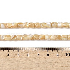 Natural Trochid Shell/Trochus Shell Beads Strands&nbsp;BSHE-H018-01