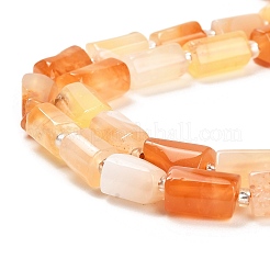 天然レッドボツワナアゲートビーズ連売り  シードビーズで  ファセット列  9~11x6~7.5x6~7.5mm  穴：1.2mm  約30個/連  15.16~15.55インチ（38.5~39.5cm）&nbsp;G-G068-A18-01