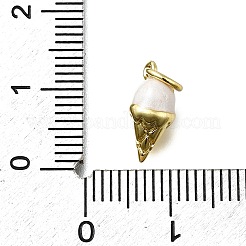 Brass Enamel Charms&nbsp;KK-K400-26G-02