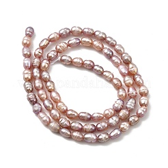 Natural Cultured Freshwater Pearl Beads Strands&nbsp;PEAR-I007-01L-02