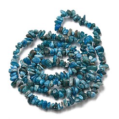 Natural Apatite Beads Strands&nbsp;X-G-F666-01B-02-01