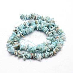 Natural Larimar Chip Beads Strands&nbsp;L-G-E271-77