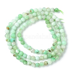 Natural Chrysoprase Beads Strands&nbsp;G-F748-X01-03B