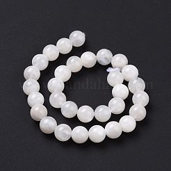 天然石のムーンストーンラウンドビーズ連売り  10mm  穴：1mm  約19個/連  7.6インチ&nbsp;G-P088-57-10mm