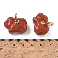天然レッドジャスパー彫刻ペンダント  真鍮にパヴェセッティングを施したキュービックジルコニアの縁取りが美しい、幸運の豚のチャーム  ゴールドカラー  23.5~25x25~26x14mm  穴：4mm&nbsp;GG-CBA105B-03F-G