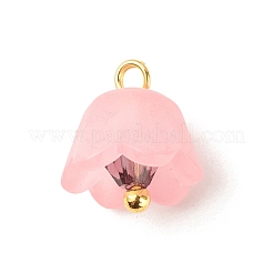 Transparent Acrylic Charms&nbsp;PALLOY-JF01603-02