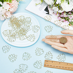 50Pcs Iron Paper Clips&nbsp;OFST-CP0001-05G