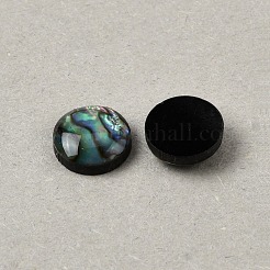 天然アワビ貝/パウア貝のカボション、エナメル加工  半円/ドーム  カラフル  8x3mm&nbsp;BSHE-WH0006-06B