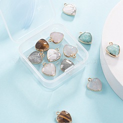 12Pcs 6 Style Electroplate Natural Gemstone Pendants&nbsp;G-LS0002-09