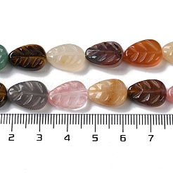 天然＆合成混合宝石ビーズ連売り  葉  14~14.5x10~10.5x5.5~6mm  穴：1.2mm  約15個/連  8.43''（21.4センチメートル）&nbsp;G-M418-A08-01