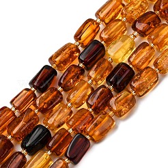 Gradient Color Natural Amber Beads Strands&nbsp;G-F803-D01-04
