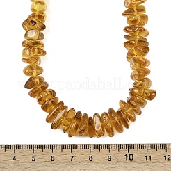 Natural Amber Chip Beaded Necklaces&nbsp;NJEW-L466-03B