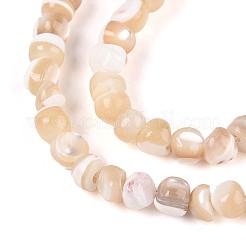 天然トロチッドシェル/トロカスシェルビーズ連売り  ナゲット  小麦  3~4.5x2~5mm  穴：0.6mm  約122~128個/連  15.35~15.75インチ（39~40cm）&nbsp;SSHEL-N040-10