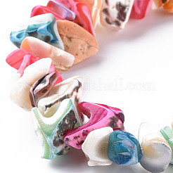 Natural Trochid Shell/Trochus Shell Bead Strands&nbsp;SSHEL-N034-105-A04
