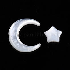 Natural White Shell Beads Sets&nbsp;SSHEL-N032-52A-01