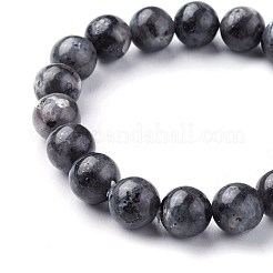 Natural Larvikite Beads Stretch Bracelets&nbsp;BJEW-F380-01-C14