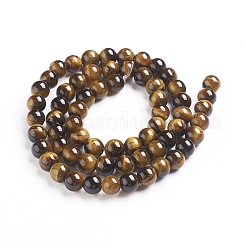 Natural Tiger Eye Beads Strands&nbsp;Z0RQX011