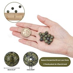 Natural Serpentine/Green Lace Stone Beads Strands&nbsp;G-AR0001-46