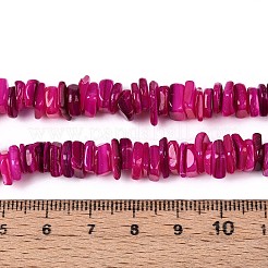 天然淡水シェルビーズ連売り  染め  ナゲット  濃いピンク  6~23x6~7x1.5~4mm  穴：0.7~0.8mm  約158~166個/連  15.16~15.55''（38.5~39.5センチメートル）&nbsp;SHEL-T020-40A