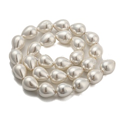 Teardrop Shell Pearl Bead Strands&nbsp;BSHE-L015-12x16-01