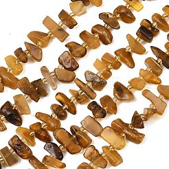 Natural Amber Beads Strands&nbsp;G-P619-A02-01