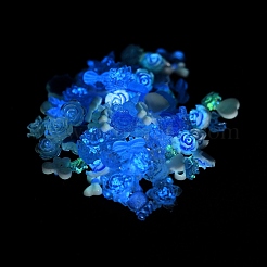 Luminous Resin Decoden Cabochons&nbsp;RESI-K036-05D