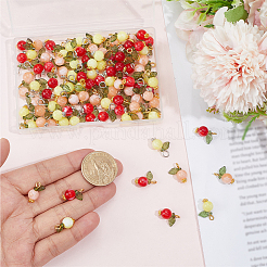 120Pcs 6 Styles Acrylic Pendants&nbsp;PALLOY-BM00011