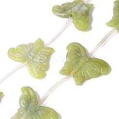 Natural Butter Jade Beads Strands&nbsp;G-B136-A06